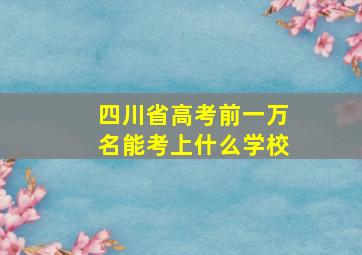 四川省高考前一万名能考上什么学校