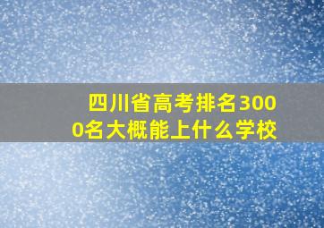 四川省高考排名3000名大概能上什么学校