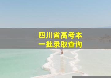 四川省高考本一批录取查询