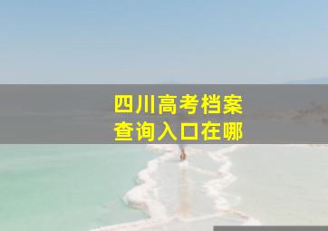 四川高考档案查询入口在哪