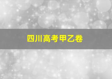 四川高考甲乙卷