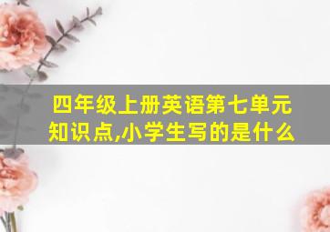 四年级上册英语第七单元知识点,小学生写的是什么