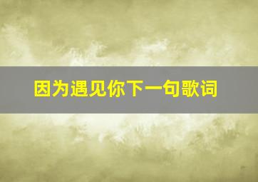 因为遇见你下一句歌词