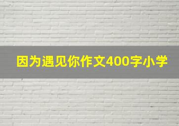 因为遇见你作文400字小学