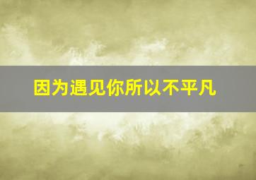 因为遇见你所以不平凡