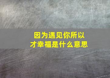 因为遇见你所以才幸福是什么意思