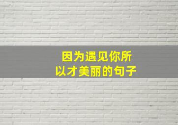 因为遇见你所以才美丽的句子