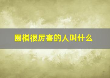 围棋很厉害的人叫什么