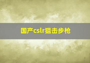 国产cslr狙击步枪