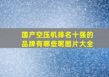 国产空压机排名十强的品牌有哪些呢图片大全