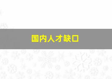 国内人才缺口