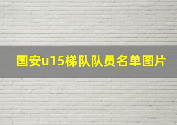 国安u15梯队队员名单图片