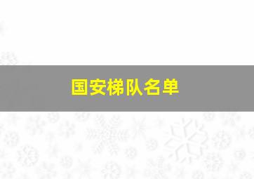 国安梯队名单