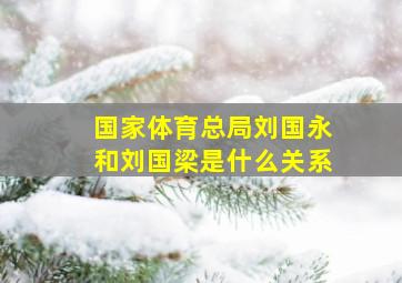 国家体育总局刘国永和刘国梁是什么关系