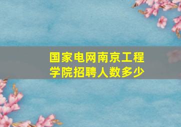 国家电网南京工程学院招聘人数多少