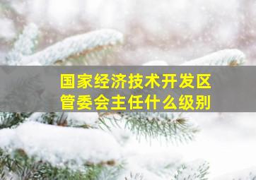 国家经济技术开发区管委会主任什么级别