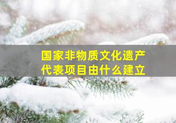 国家非物质文化遗产代表项目由什么建立