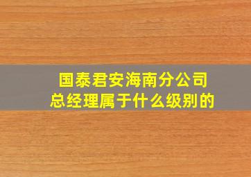 国泰君安海南分公司总经理属于什么级别的