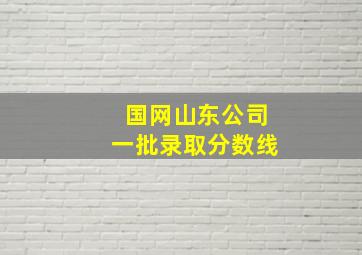 国网山东公司一批录取分数线