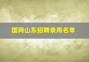 国网山东招聘录用名单