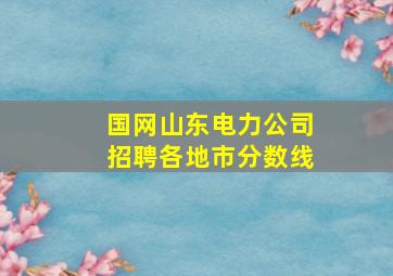 国网山东电力公司招聘各地市分数线