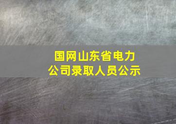 国网山东省电力公司录取人员公示