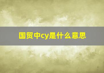 国贸中cy是什么意思