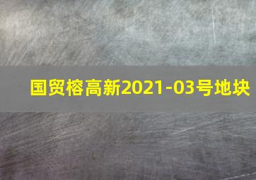 国贸榕高新2021-03号地块