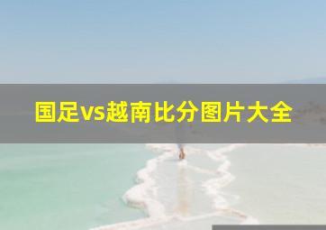 国足vs越南比分图片大全