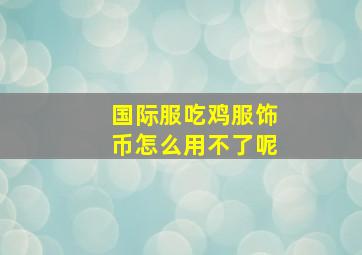 国际服吃鸡服饰币怎么用不了呢