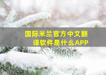 国际米兰官方中文翻译软件是什么APP