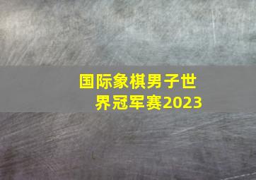 国际象棋男子世界冠军赛2023