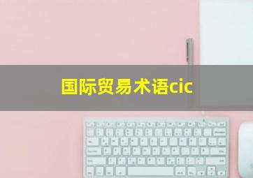 国际贸易术语cic