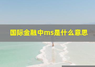 国际金融中ms是什么意思