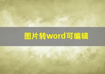 图片转word可编辑