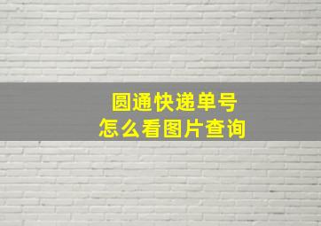 圆通快递单号怎么看图片查询