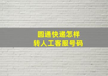 圆通快递怎样转人工客服号码