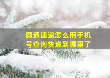 圆通速递怎么用手机号查询快递到哪里了