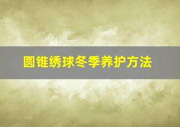 圆锥绣球冬季养护方法