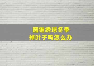 圆锥绣球冬季掉叶子吗怎么办