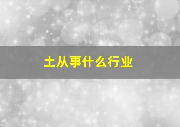 土从事什么行业