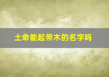 土命能起带木的名字吗