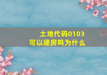 土地代码0103可以建房吗为什么