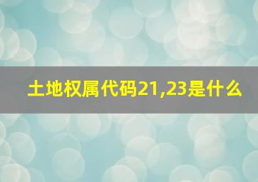 土地权属代码21,23是什么