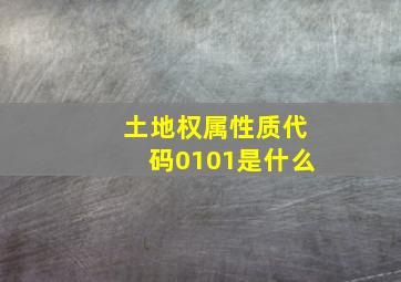 土地权属性质代码0101是什么