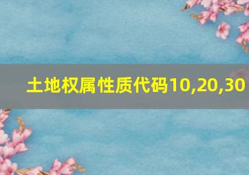 土地权属性质代码10,20,30