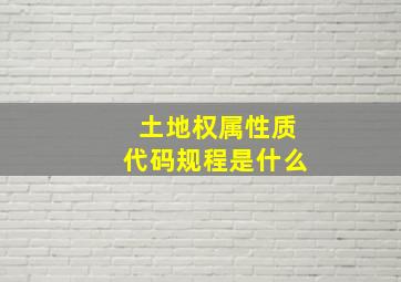 土地权属性质代码规程是什么