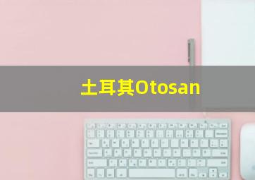 土耳其Otosan