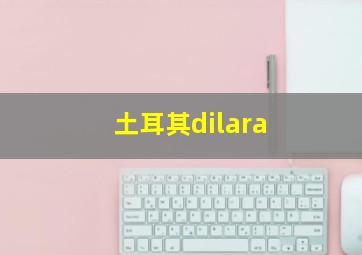 土耳其dilara