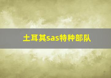 土耳其sas特种部队